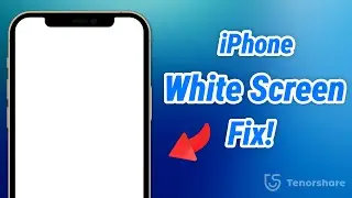 How to Fix iPhone White Screen &mdash; With or Without a Computer (2025)