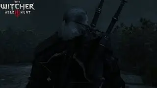 The Witcher 3 Wild Hunt Immersive Grim Lighting