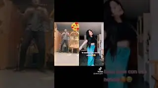tik tok indigo