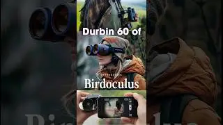 Best Budget Durbin 🔭 60% OFF | High Range Binoculars Buy Now!