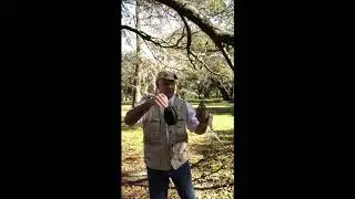 UP Trap Demo