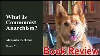 What is Communist Anarchism? Review - Radical Reivewer