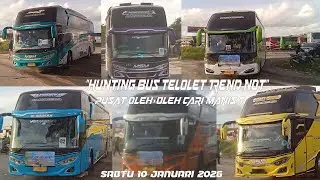 HUNTING BASURI DI PUSAT OLEH-OLEH CARI MANIS 7 POKOKNYA SERU PARAH 🥳🤩