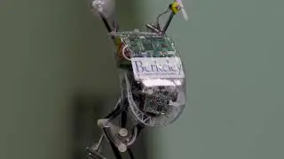A squirrel-inspired robot that can leap from limb to limb