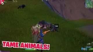 How to tame a Wolf/Boar | Fortnite Battle Royale Season 6