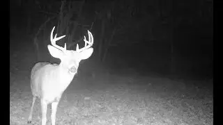 Young Rick visits landing plot at sundown, Jan 11 #deer #deerhunting #hunting #bucks #whitetail