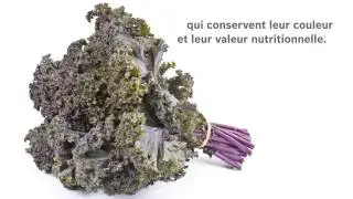 Four &agrave; vapeur &agrave; convection de Bosch : rien n'&eacute;gale Bosch!