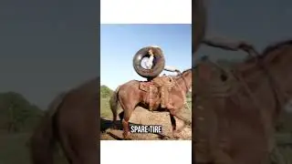 Super Puncher Rules