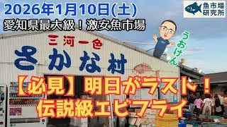 【必見】明日がラスト！一色さかな村“伝説級エビフライ”を確保せよ