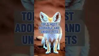 Top 5 Most Adorable and Unique Pets