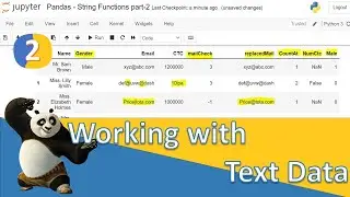Pandas - Text Data 2 | Find, Replace, Count, Isnumeric, get_dummies, Rename, Drop Rows, Drop Columns
