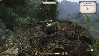 Kingdom Come  Deliverance How to get Horse Armor chanfron and criniere from the cliff near Ledetchko
