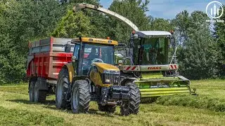 Claas jaguar 850, Challenger MT525B, MF 5475,6499 / Sen&aacute;že 2020 / Fr&yacute;dlantsk&aacute; zemědělsk&aacute; a.s. /
