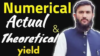 Numerical Problem related to Yield (Percentage yield and theoretical Yield calculation) Urdu/Hindi/
