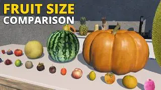 Fruit Size Comparison in 3D | How Big Are Fruits Really?