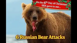 Scary Bear Attacks: Real Russian Bear Maulings and Survival Stories