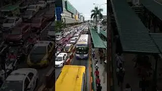 #Edsa Buslanee Traffic day