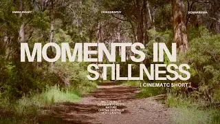 Moments in Stillness | A Short Cinematic Film | Denmark Western Australia
