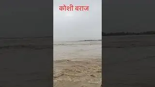 Kosi, the sorrow river of Bihar. ,🥰 #shortsviral #viralvideo #shortvideos #arjun5mvlog