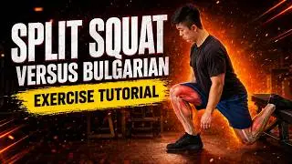 Difference Between Bulgarian Split Squat and Split Squat