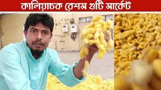 কালিয়াচক রেশম গুটি মার্কেট | Mulberry Silk Cocoon Market | Malda | Kck Raihan