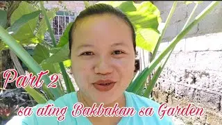 BAKBAKAN SA GARDEN |Part 2 by BHING - Gardening