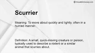 Scurrier Meaning