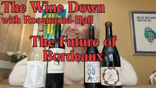The Future of Bordeaux Wine | It's bright and exciting
