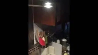 First Time Opening Hyphy Mud Pt. 2