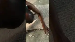 Custom Rug Trimming by Hand | Ima Rugs India Expansion