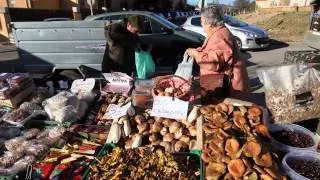 Mercadillo de Collbató