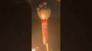 Welcome to the Jungle Rocket (silver top 2024) #saluterocket #fireworks #pyro