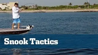 Boynton Inlet Snook Frenzy - Florida Sport Fishing TV - Snook Tackle & Techniques