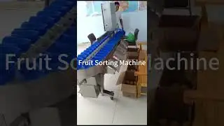 Fruit and vegetable sorting/grading machine