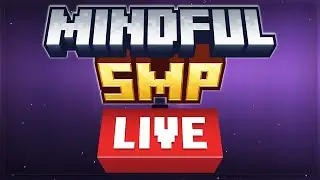 End Shenanigans! w/@saltenzy449 | Minecraft Mindful SMP LIVE 14