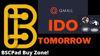 BSC Pad Buy Opportunity - Qmall Token Launch