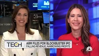 Arm files for blockbuster IPO amid falling revenue and narrowing profits