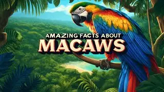 Macaw Mysteries Unveiled: Must-Know Facts