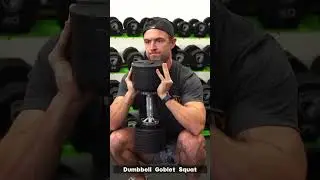 Snode 80lb Adjustable Dumbbells #dumbbellworkout #dumbbell