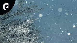 Ruiqi Zhao - The Snow Flakes (Royalty Free Music)