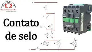 CONTATO DE SELO, aprenda a identificar!