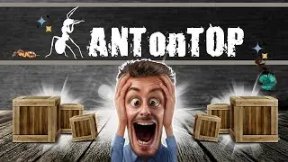Nouveaut&eacute;s Ant On Top 🐜 | Pr&eacute;sentation Messor arenarius & Aphaenogaster swammerdami