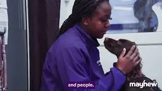 At Mayhew, we know that dogs and cats are more than just pets...