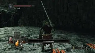 DARK SOULS II: Scholar of the First Sin royal rat authority