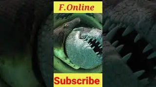 #shorts#shots  The oldes danger animals | #fact#bangla#top#top3fact#shorts#shots