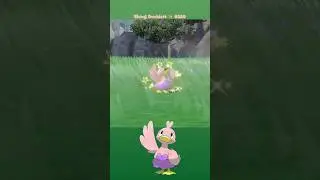 Shiny Ducklett ✨ 0580 caught in Pokemon Scarlet Teal Mask DLC with Mass Outbreak on Switch 2