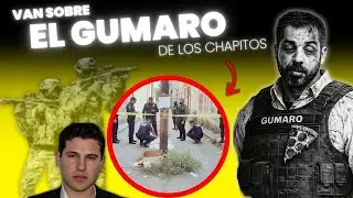 Comandante Gumaro : En la mira del Mayito Flaco 