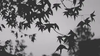Fabuła    (prod  D-low beats)