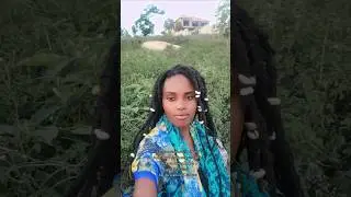 Roots & culture, every nation have to dweet☀️ #reggae #roots #motherseyealkebulan #cultures