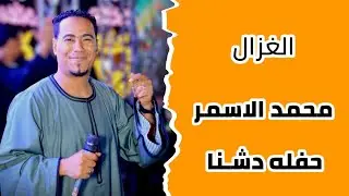 غزال الصعيد محمد الاسمر حفله دشنا 13.1.2026 ليالى الموسم الجديد ضرب نااار 💥💯